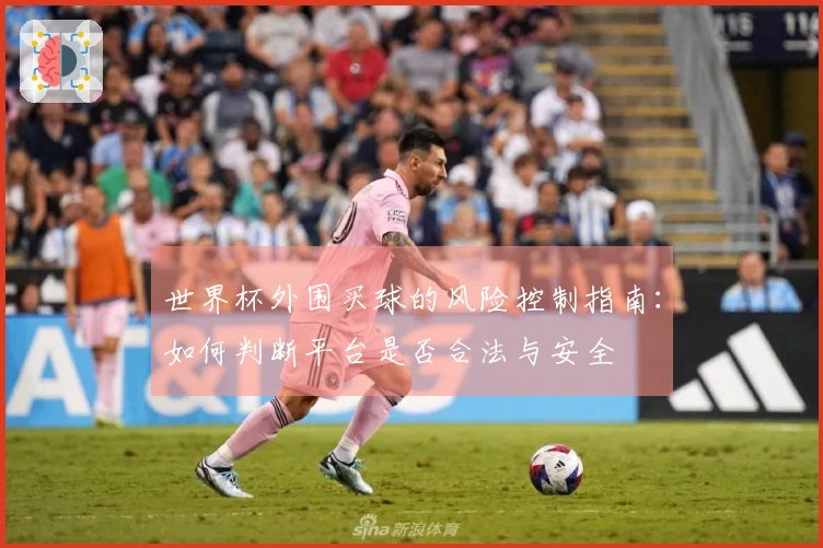 世界杯外围买球的风险控制指南：如何判断平台是否合法与安全