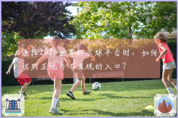 选择2026世界杯买球平台时，如何识别正规与不正规的入口？