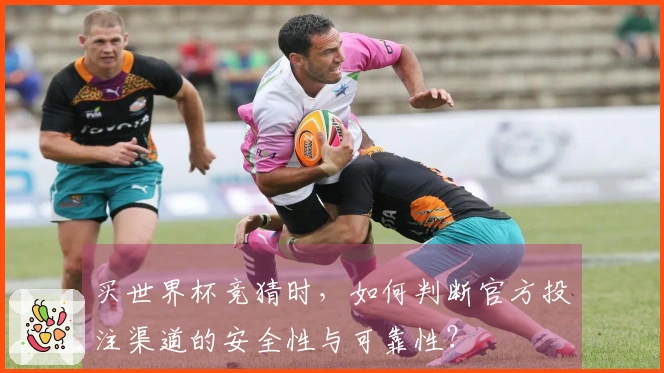 买世界杯竞猜时，如何判断官方投注渠道的安全性与可靠性？