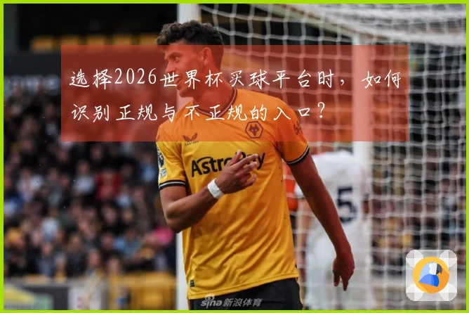 选择2026世界杯买球平台时，如何识别正规与不正规的入口？