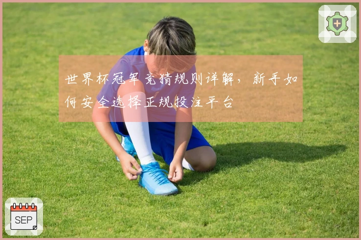世界杯冠军竞猜规则详解，新手如何安全选择正规投注平台